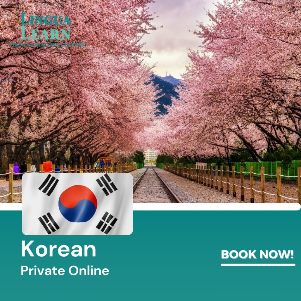 korean-semi-private-lingua-learn-indonesia